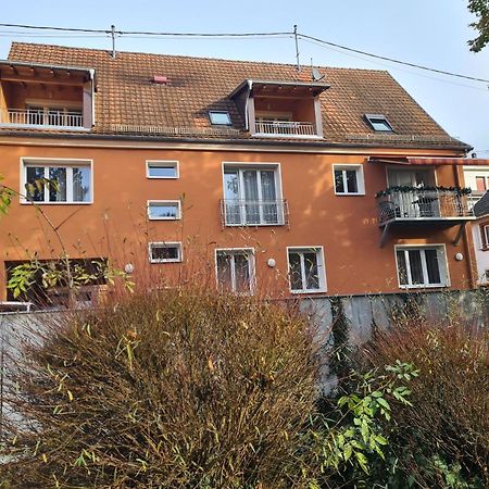 Meubles Du 25 N2 F2 Rdc Daire Niederbronn-les-Bains Dış mekan fotoğraf