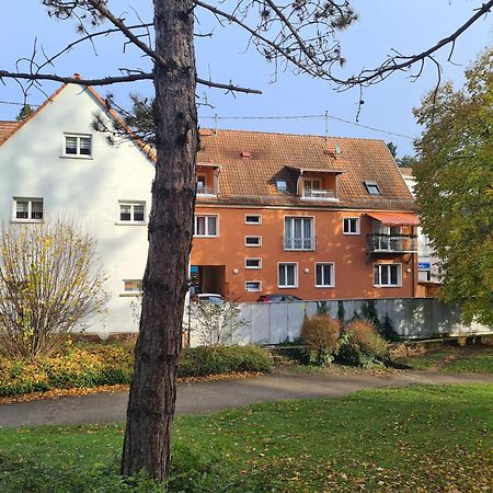 Meubles Du 25 N2 F2 Rdc Daire Niederbronn-les-Bains Dış mekan fotoğraf