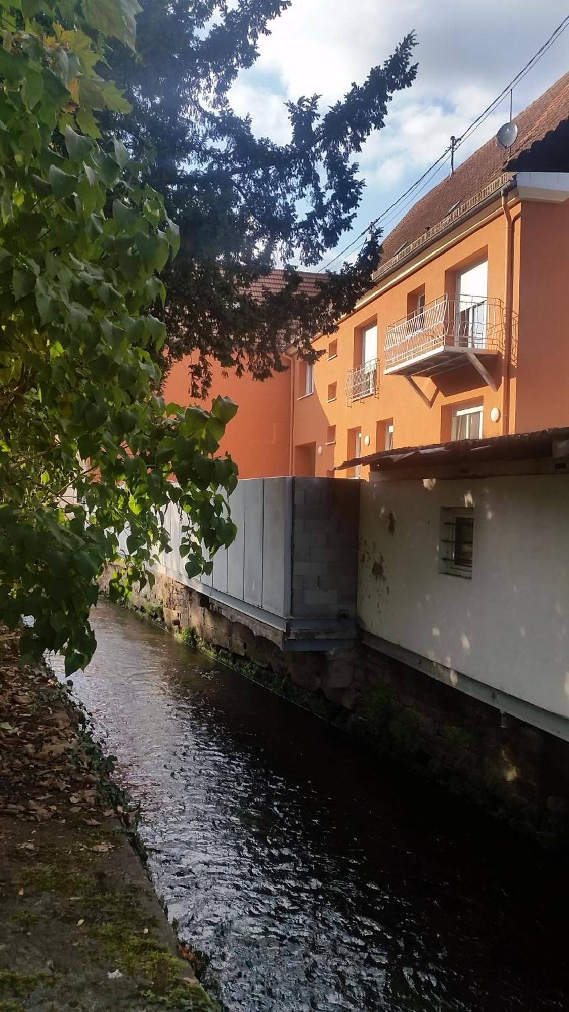 Meubles Du 25 N2 F2 Rdc Daire Niederbronn-les-Bains Dış mekan fotoğraf