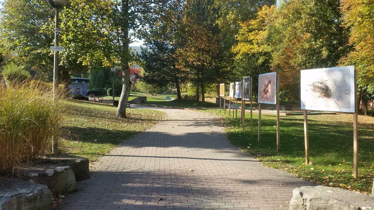 Meubles Du 25 N2 F2 Rdc Daire Niederbronn-les-Bains Dış mekan fotoğraf